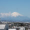 新林公園展望台から臨む富士