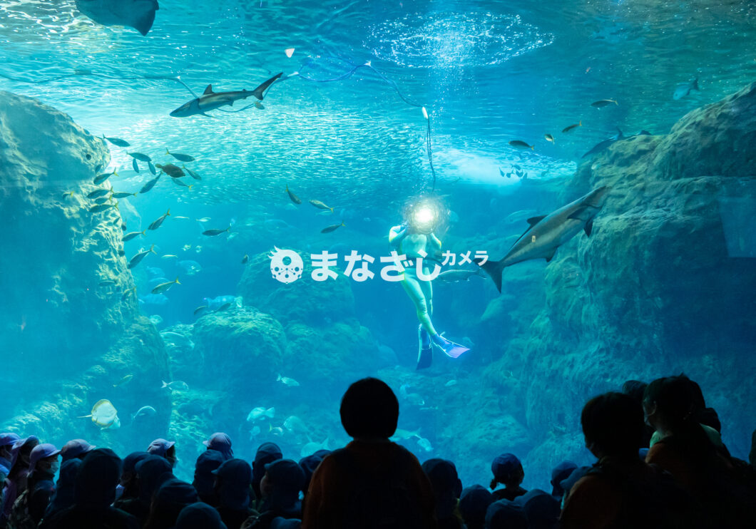 アワーキッズ湘南「お別れ遠足」